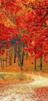 A scenic path through a vibrant red autumn forest.