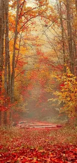 Vibrant autumn forest path with colorful leaves carpeting the ground.