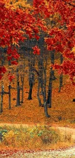 Autumn forest path with vibrant red leaves and a winding trail in the woods.