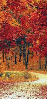 Vibrant red and orange autumn forest path with leaves.