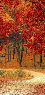 Scenic autumn forest path with vibrant red and orange leaves creating a serene atmosphere.