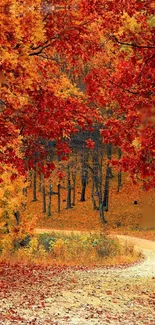 Vibrant autumn forest path with red leaves and a winding trail.