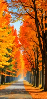 Autumn pathway through vibrant orange trees.