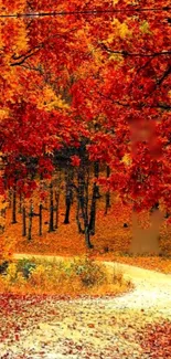 A vibrant autumn forest path with rich red and orange leaves.