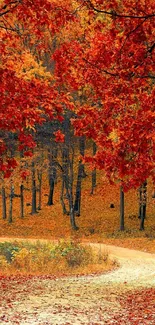 A vibrant autumn forest path with red leaves and a winding trail.