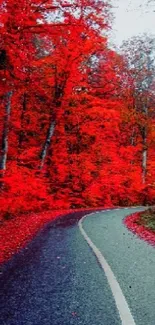 A vibrant autumn forest path with red foliage and a winding road.