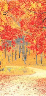 Vibrant autumn forest path with orange and red leaves.