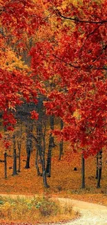 Vibrant autumn forest with red leaves and winding path.