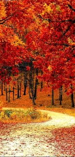 Beautiful autumn forest path with vibrant red leaves.