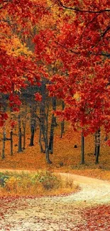 Winding path through vibrant autumn forest with red leaves.