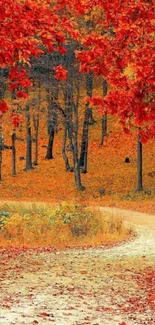 Autumn forest with vibrant red and orange leaves lining a tranquil curved path.