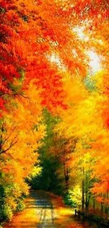 Vibrant autumn forest pathway with vivid orange foliage.