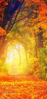 Vibrant autumn forest pathway with orange foliage.