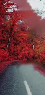 Red autumn leaves lining a quiet forest pathway, perfect for mobile wallpapers.