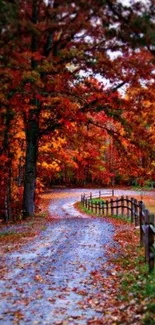 Autumn forest pathway with vibrant orange foliage.