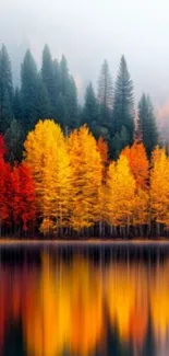 Autumn forest with vivid reflection on a serene lake under mist.