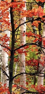 Vibrant autumn forest with red and orange leaves.