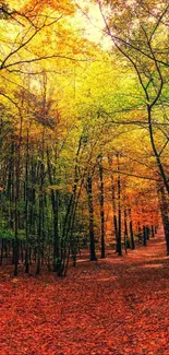 Scenic autumn forest with vibrant colors and sunlit path.