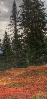 Vibrant autumn forest with colorful foliage under dramatic skies.