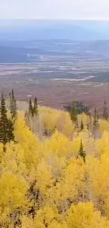 Vibrant autumn forest with yellow trees and scenic horizon.