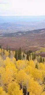 Beautiful golden autumn forest with scenic mountain backdrop.