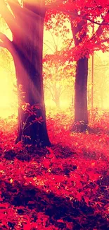 Vibrant autumn forest with red leaves and sunlight.