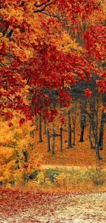 Autumn forest with vibrant red-orange leaves.