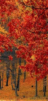 Vibrant autumn forest with red foliage and a winding path.