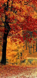 Vibrant autumn forest with red and orange leaves.