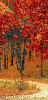 Mobile wallpaper of a vibrant autumn forest with red foliage.