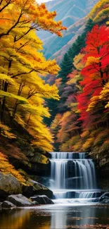 Autumn forest waterfall surrounded by vibrant foliage.