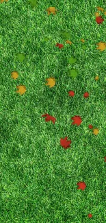 Vibrant green grass with scattered autumn leaves mobile wallpaper.