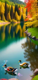 Ducks on a tranquil autumn lake with vibrant trees and reflections.