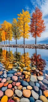 Colorful autumn trees reflecting in the lake with stones in foreground.