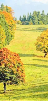 Vibrant autumn landscape with colorful trees on a grassy hill.