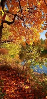 Vibrant autumn forest with orange leaves and a blue sky backdrop.