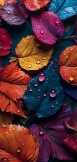 Vibrant colorful leaves with dewdrops in an artistic pattern.
