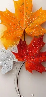 Colorful autumn leaves with droplets on a mobile wallpaper.