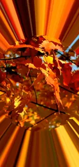 Bright orange autumn leaves in a vibrant spiral effect on a mobile wallpaper.