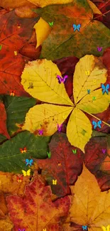 Colorful autumn leaves wallpaper with vibrant fall colors dominating the design.