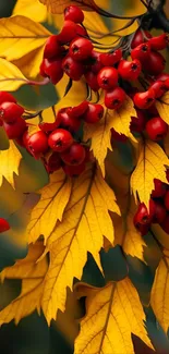 Yellow leaves and red berries in vibrant autumn scenery.