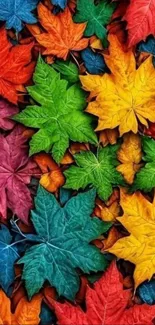 Colorful autumn leaves arranged in a vibrant pattern.