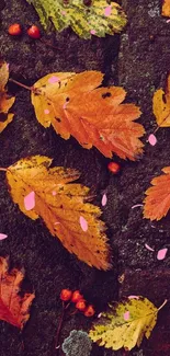 Colorful autumn leaves on a textured brown background.