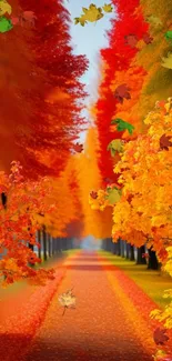 Scenic orange and red autumn foliage line a picturesque woodland path.