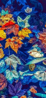 Vibrant orange and blue autumn leaves wallpaper.