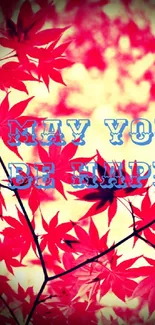 Vibrant red autumn leaves with 'May You Be Happy' text.