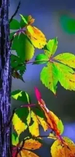 Vibrant green and yellow leaves with tree bark in the background.