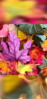 Vibrant magenta leaf with fiery background.