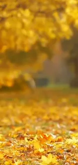 Golden autumn leaves forming a vibrant natural carpet on the ground.