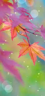 Vivid autumn leaves with blurred background in pink and green hues.